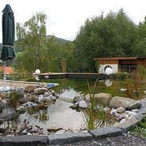 Natürlicher Swimmingpool